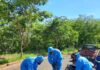 Saev Ambiental inicia controle de pragas em mais de 5,5 mil pontos da rede de esgoto