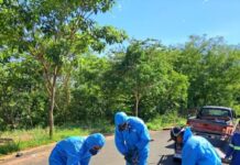 Saev Ambiental inicia controle de pragas em mais de 5,5 mil pontos da rede de esgoto