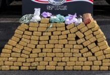 PM apreende 129 tijolos de maconha e quase 3 kg de cocaína em José Bonifácio