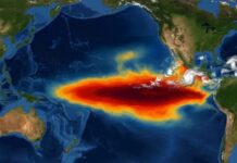 Super El Niño deve causar mais de 850 mil mortes no mundo e 19 mil no Brasil até março, diz estudo