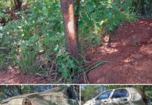 Motorista perde controle e bate em árvore na Rodovia Péricles Bellini