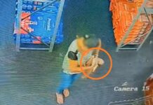 Câmera flagra furto de filhote de Pug em loja de Jales
