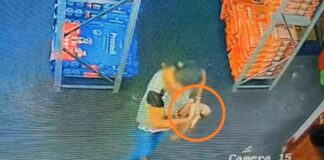 Câmera flagra furto de filhote de Pug em loja de Jales