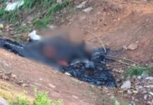 Corpo é encontrado carbonizado em Araçatuba