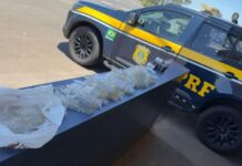 PRF apreende mais de mil ampolas de anabolizantes e prende homem na BR-153