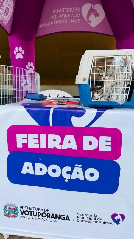 CCD