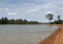 Saev conclui nova etapa do desassoreamento da Represa Municipal