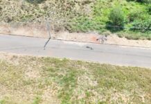 Multas por descarte irregular identificadas por drones podem chegar a R$ 9,2 mil em Votuporanga