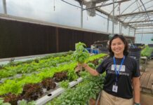 Pesquisa científica aproxima estudantes da tecnologia agropecuária em Votuporanga
