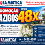 Promoção Rosa Mística 48x