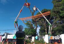 Podas e manutenções preventivas reforçam segurança da rede elétrica de Votuporanga e cidades vizinhas